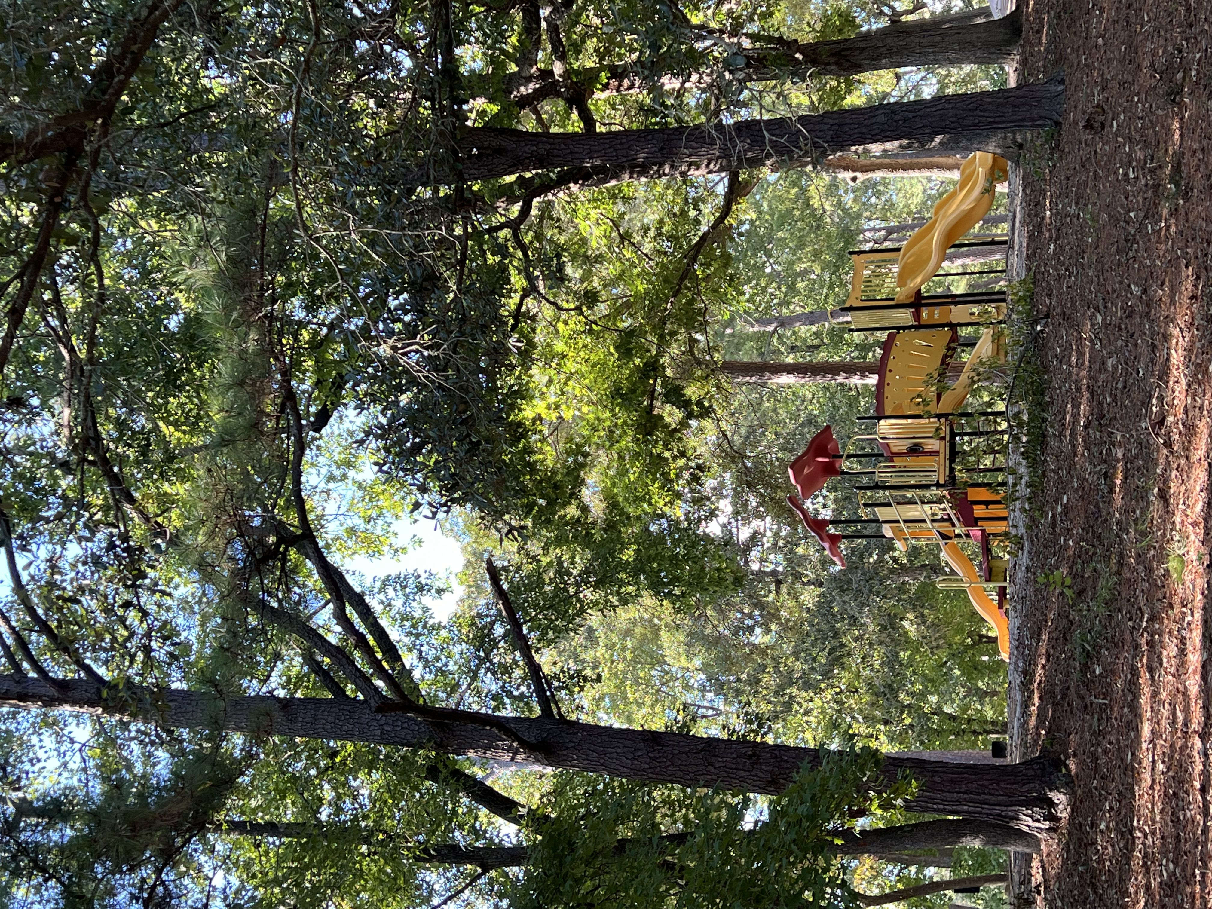 ./2024/10 - Myrtle Beach/IMG_2708.jpg